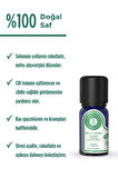 Tatlı Rezene Uçucu Yağı - 10ml