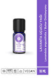 Lavanta Uçucu Yağı - 10ml