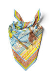 H33 KADIN DESEN BANDANA DG571