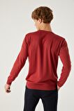 D'S Damat Regular Fit Nar Çiçeği Pamuk Karışımlı Triko Kazak 5HF06ORT12004