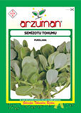 SEMİZOTU TOHUMU 10 GR
