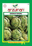 ENGİNAR TOHUMU (20 TOHUM)