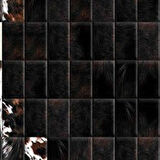 Dekoreko İnci Halı Dijital Saçaklı 1914