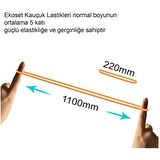 Ekoset 220x5mm Geniş Kauçuk Paket Ambalaj Kasa Lastiği 500 Adet