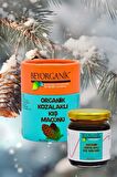 ORGANİK Kozalaklı Kış Macunu 240gr