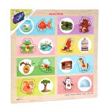 ONY-363-364 Ahşap Tutmalı Eşleştirme Hangi Hayvan Nerede Yaşar -Onyıl