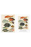 Surreal Illustration Of Fishes And Crabs Found In Moluccas, Özel Tasarım Kılıflı, A4 Poster