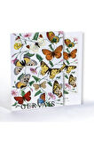 Le Jardin Des Plantes Flower, Özel Tasarım Kılıflı, A4 Poster