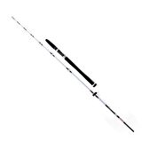 Daiwa Exceler 1,98m 7-28gr 2p Kamış