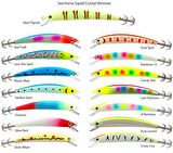 Sea Horse Squid Crystal Minnow115mm 23g A-Rainbow