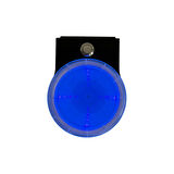 Sea Horse Uv Işıklı  Bardaklık