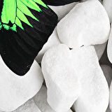 Dekoreko İnci Halı Dijital Saçaklı 1911 Desen 1