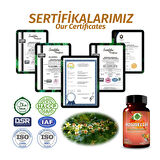 Gökçek Şifa Akgünlük (Boswellia) Kapsül