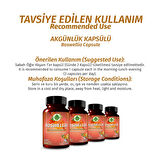Gökçek Şifa Akgünlük (Boswellia) Kapsül