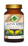 Altın Kök (rhodiola) Toz Ekstresi 100 Gr Cam Kavanoz