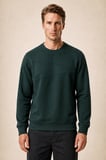 lines regular fit kışlık sweatshirt nefti