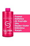 Colorinn Premium Series Tüm Saçlar İçin Canlandırıcı Tuzsuz At Kuyruğu Özlü Şampuan 500 ml