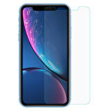 Microsonic Apple Uyumlu iPhone XR (6.1'') Temperli Cam Ekran koruyucu Kırılmaz film