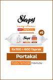 Sleepy Meyve Serisi Yüzey Temizlik Havlusu Mendili Portakal 6x100 (600 Yaprak)