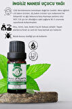 Ingiliz Nanesi Uçucu Yağı(10 ml)