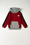 Mobo Erkek Çocuk Kapüşonlu Sweatshirt Kırmızı-Gri