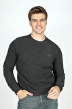 Newdwade Erkek O Yaka Sweatshirt Antrasit