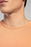 Gael Erkek O Yaka T-Shirt Somon