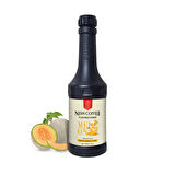 Nish Kavun Aromalı Püre Sos 1.150 GR 