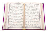 Kadife Kutulu Kur'an-ı Kerim (Hafız Boy, Elif-Vavlı, Mor)
