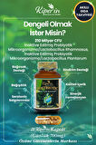 Kiperin Postbiyotik 210 Milyar Cfu Rhamnosus & Plantarum Sindirim (21Kapsül & 700mg) | 3547