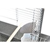 CocodyPet B031 Papağan Kafesi Ayaklı 46x46x108