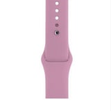 Lexroo Apple Watch 42mm Klasik Kordon