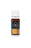 By Hülya Kayhan Havuç Tohumu 10ml