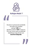 Collagen Forte Premium Powder (TOZ) 5 Tip Kolajen 10.000mg x 30 Şase, Orman Meyveli Aroma