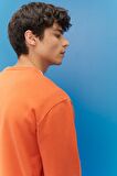 Regular Fit Normal Kesim %100 Pamuk Sıfır Yaka Sweatshirt