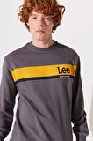 Regular Fit Normal Kesim Bisiklet Yaka Antrasit Sweatshirt