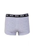 IRVINE 2&prime;li Gri Erkek Boxer