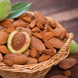 Özel Seçim Karasal Bölgeler İçin Uygun Olan Aşılı Badem Fidanı Paketi