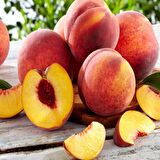 Tüplü Aşılı Özel Aromalı Bol Verimli Carselet Şeftali Fidanı