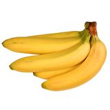 Tüplü Bodur Muz Fidanı Musa Cavendish (Sınırlı Stok)
