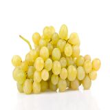 Tüplü Kokulu Aromatik Leziz İtalia Üzüm (Asma-Bağ) Fidanı
