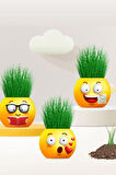 Çim Adam 4 Adet Yeni Nesil Kutulu Emoji Şekiller Parti Hediyelik Okul Öğrenci Karne Hediyeleri