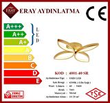 4001-40 Sarı Led Avize