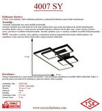 4007 Siyah Led Avize