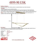 4899-90 Eskitme Led Avize