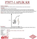 P7077-1 Aplik Krom