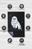 Homshtag Hayalimdeki Hayvan Dokuma Tabanlı Yıkanabilir Kaymaz Harry Potter Film Halısı