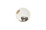 Porland Wild Life Monkey Kase 10cm