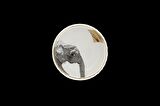 Porland Wild Life Elephant Kase 10cm