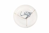 Porland Spirits Fil Kase 17 cm 04ALM007055